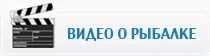 Лучшее видео о рыбалке на VivatFishing.ru