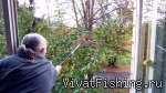 Ловим яблоки (ну, если рыба не клюет)