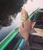 Рыбалка в Великом Новгороде