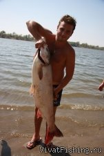 VivatFishing на нижней Волге