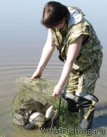 VivatFishing за карпом