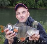 Вдали от шумной суеты