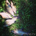 Рыбалка в Великом Новгороде