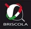 Briscola