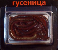 Полимерно - белковая рыболовная насадка - ГУСЕНИЦА