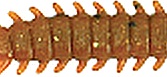 "Съедобная" приманка MARUKYU POWER ISOME S 80мм (20шт) цвет brown