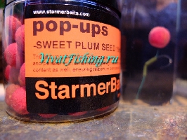 Бойлы плавающие Starmer Baits Pop-ups аромат Sweet Plum Seed