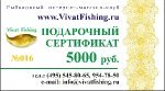 Подарочный сертификат на 5000 руб.