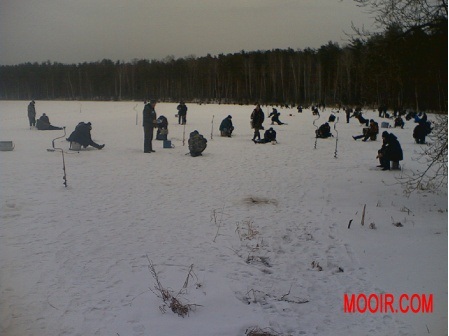 Озеро Луковое_7.jpg