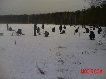 Озеро Луковое_7.jpg