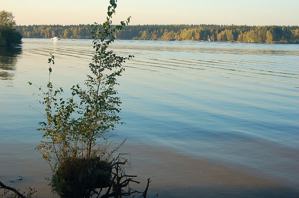 Икшинское водохранилище _6.jpg