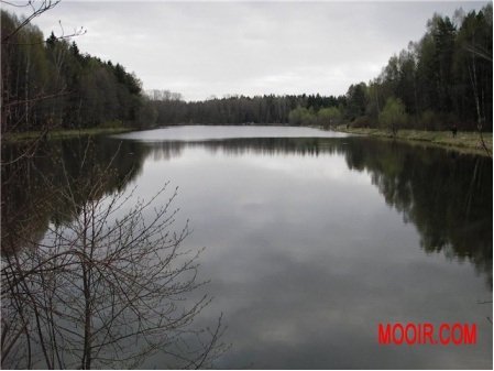 Озеро Луковое_2.jpg